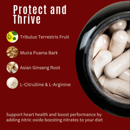 Zenith Herbals Nitric Oxide